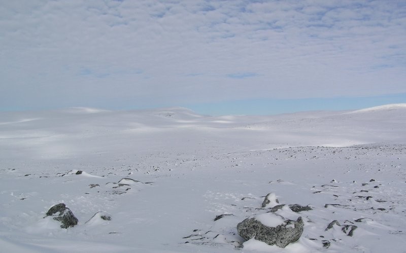 Click for the original image